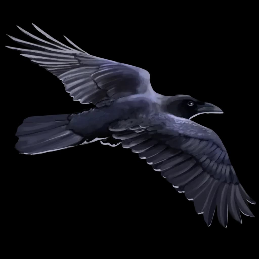 The Raven on its way!